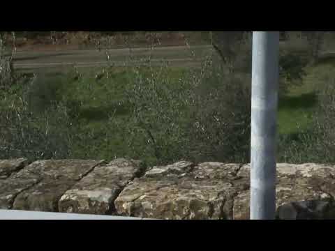 6° RallyDay Fettunta 2019 Shakedown Diretta Integrale