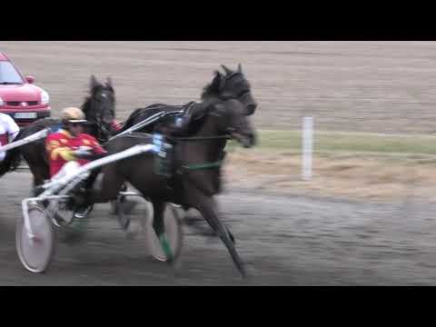 Trka "Poliklinika Petrov Novi Sad-Senta" 21.10.2018 La Isla Bonita-Branislav Mukić