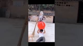 Download lagu video lucu cina bikin ngakak #shorts #shortsvideo #feedshorts #funnyvideo #funnymoments mp3