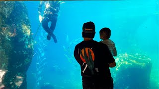 FIRST TIME AT THE ZOO