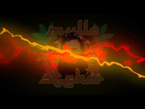 Mulla Stekar 2011 - Helt Ærlig Gutta