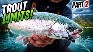THE CRAZIEST Trout Fishing Bite of the Year!