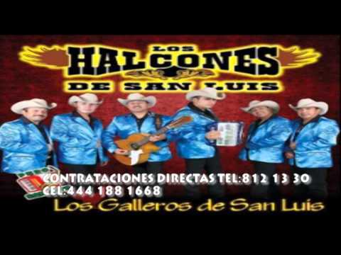 HALCONES DE SAN LUIS MIX DE LOS NUEVOS TEMAS 2013