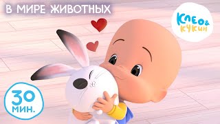 Клео и Кукин 🐰 В МИРЕ ЖИВОТНЫХ 🐶 Коллекция лучших мультиков 🤣 Cleo and Cuquin