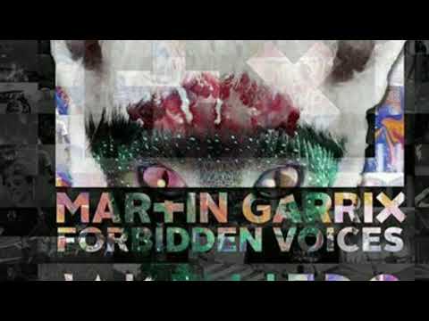 Martin Garrix forbidden voices vs Runaway VS violín (cuatrix music mix)