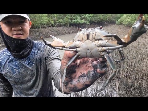 EP769-P1 - Pandudukot ng Alimango | Occ. Mindoro