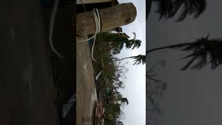 preview picture of video 'Odisha Fani cyclone'
