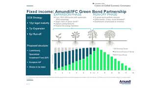 Investor Climate Stewardship: Green Bonds & Green Governance (Panel 2)