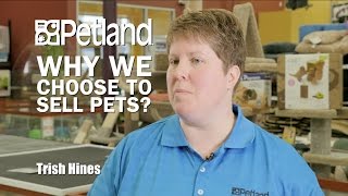 Trish Hines explains why Petland chooses to sell pets