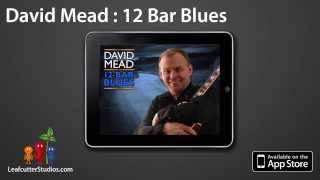 12 Bar Blues with David Mead