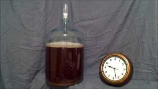 Beer Fermentation Time Lapse