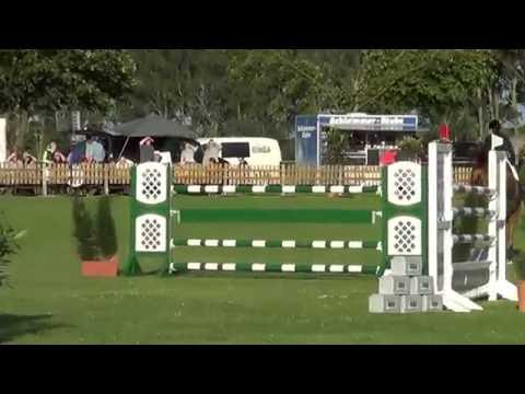 Covalsky, 7yo holsteiner gelding, Contendro II x Lavall II