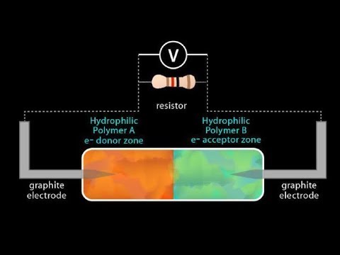 Energia elettrica dall'acqua e ultime scoperte in campo biologico - Intervista a Roberto Germano