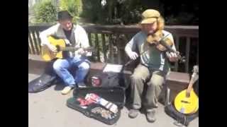 Diddley Buskers - When Will We Be Married? (Waterboys Cover)