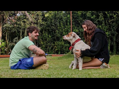 EL NUEVO INTEGRANTE.