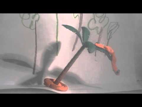 160124 Inselgeschichten