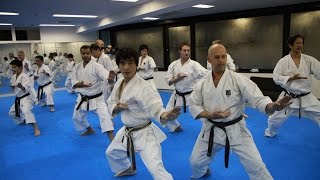 Mikio Yahara: Tsuki Waza Training in KWF Honbu Doj