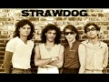 StrawDog - Only The Broken Hearts