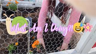 NEW 🌸 SPRING PROJECTS WITH ME | Garden Prep, Pavers, Chickens, Cozy Reset 🐔✨