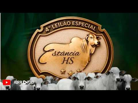 4° LEILÃO ESPECIAL ESTÂNCIA HS - RIO NEGRO/MS - RURAL PLAY