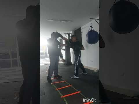 Galeras Sucre Boxeo