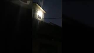 Download lagu Suara walet  Obat Zinet RBW binaan daus Sudan .terapi onlen lo😁 mp3