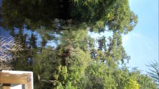 I BELIEVE HE DIED FOR ME