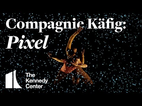 Compagnie Käfig: Pixel | Aug. 30– Sep. 1