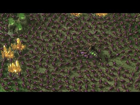 ZvZ Guide, Part 1 - Zergling Rush