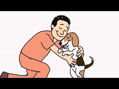 A&D Pet Care Services video.