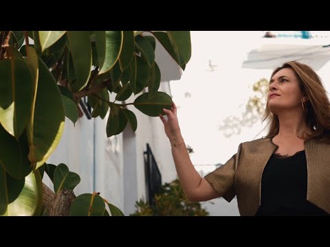 Parole, Parole - French Latino  |  Album "Merci"