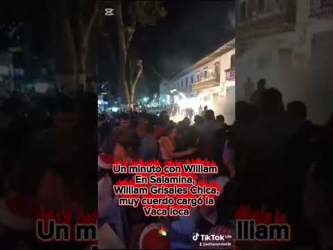 Un minuto con William.  Vaca loca en Salamina Caldas