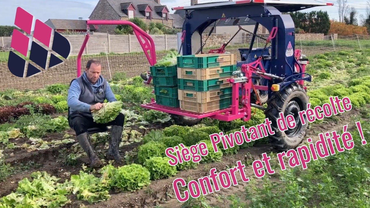 Témoignage vidéo Romanesco