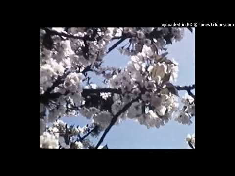 [FREE] Lil Peep x fish narc Type Beat - medberoende (prod. sheoda)