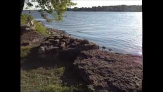 Inspiration P williams