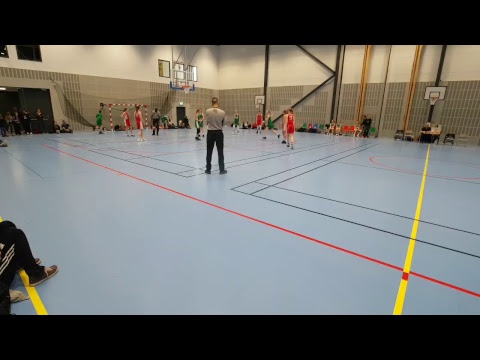 Viby Basket F02- Fajt
