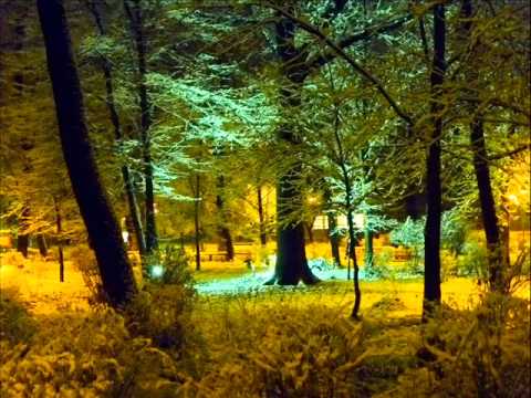 Sandro Perri - Love & Light