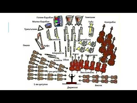 В ЧАСА ПО МУЗИКА - Гласът на музикалните инструменти