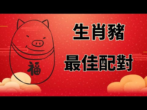 屬豬跟什麼生肖合
