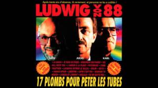 Ludwig Von 88 l'oiseau et l'enfant