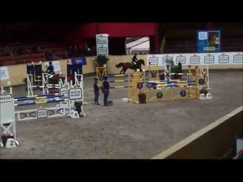 Etalon Lux N 1262, Breeders Trophy 2014, kval 1