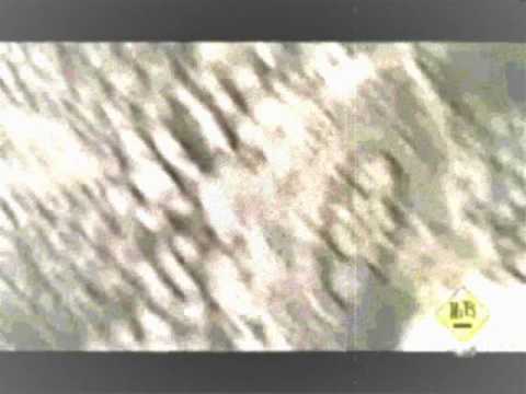 dj uncle frank and notorious biggi bad boy