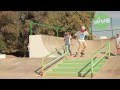 viva skateboards