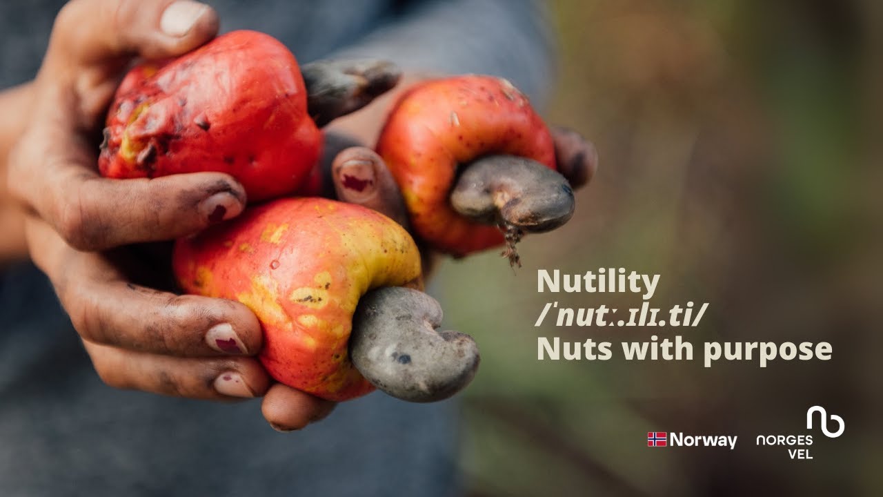Cashew and Peanuts: Strengthening Farmers in Mozambique | Norges Vel