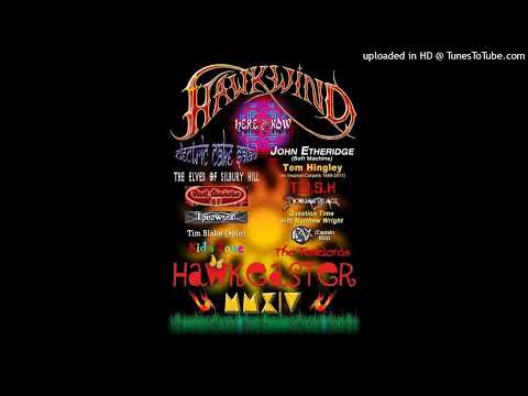 The Elves Of Silbury Hill - Web Weaver [LIVE]