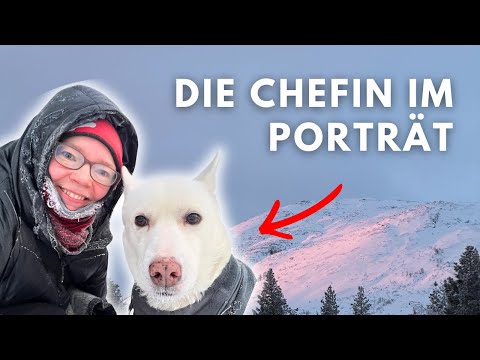 Stubborn or princess? A portrait of a characterful animal 🐾