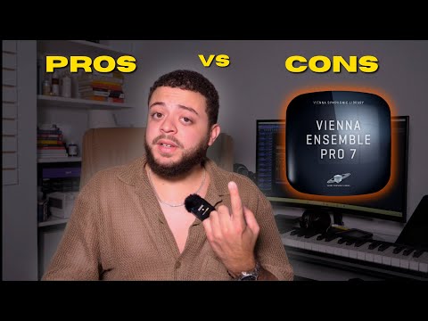 Vienna Ensemble Pro 7: Pros vs Cons
