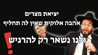 הרב עדיאל שפיגל- יציאת מצרים-אהבה אלוקית שאין לה תחליף! שיעור חובה!!! (הרב עדיאל שפיגל) - התמונה מוצגת ישירות מתוך אתר האינטרנט יוטיוב. זכויות היוצרים בתמונה שייכות ליוצרה. קישור קרדיט למקור התוכן נמצא בתוך דף הסרטון