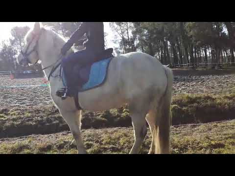 11/01/20 séance des jeunes cavaliers