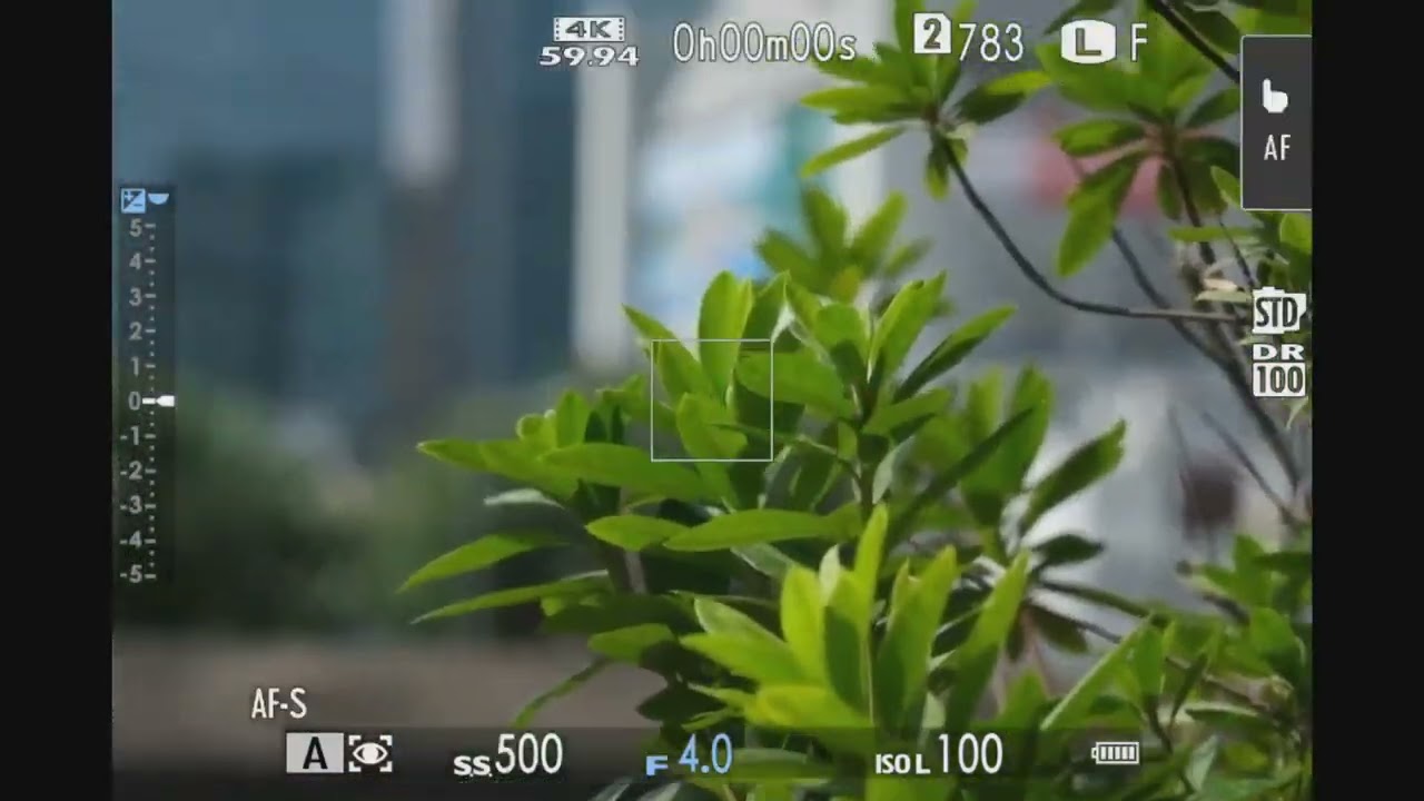 Video thumbnail for Video Review 3